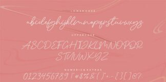 Silent Caroline Luxury Monoline Script Font Poster 1