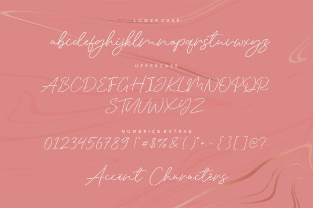Silent Caroline Luxury Monoline Script Font Poster 1