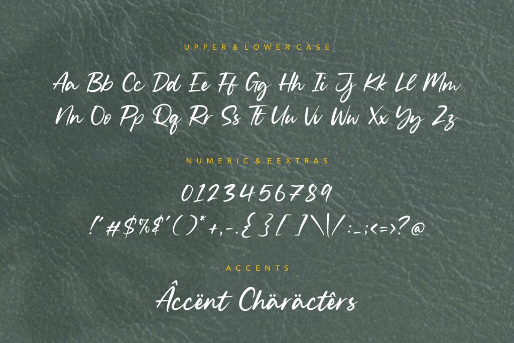 Silent Landfield Modern Calligraphy Font Poster 7
