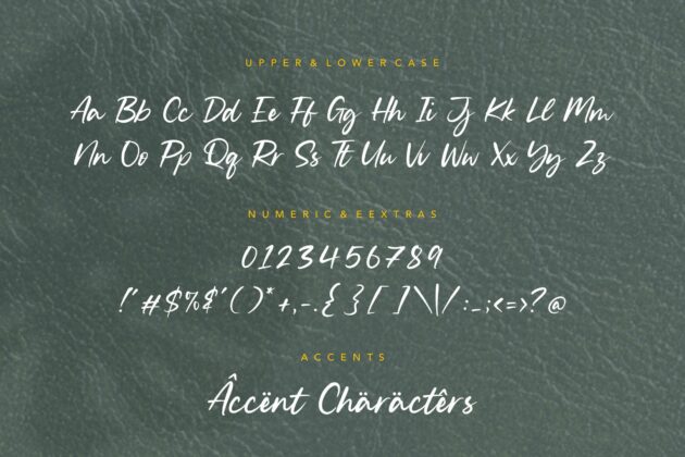 Silent Landfield Modern Calligraphy Font Poster 7