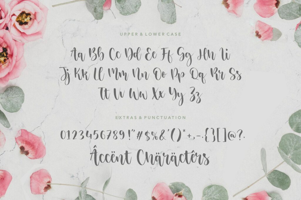 Sisterhood Elegant & Beautiful Script Font Poster 4