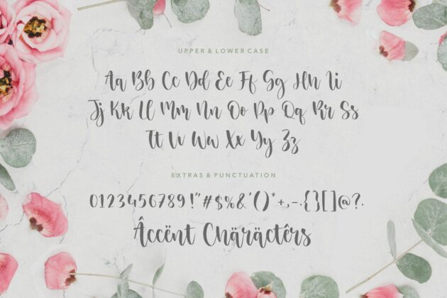 Sisterhood Elegant & Beautiful Script Font Poster 4