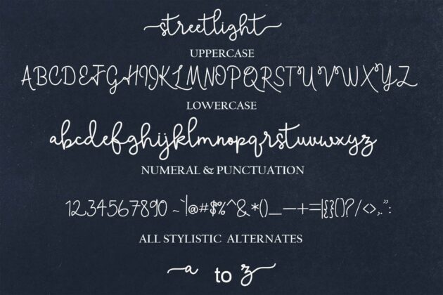 Skolateka Script Poster 1
