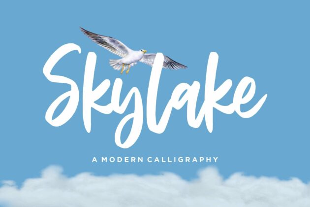 Skylake Modern Calligraphy Font Poster 2