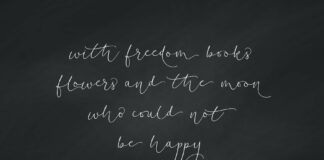 Soft Whisperings Calligraphic Modern Calligraphy Font Poster 1