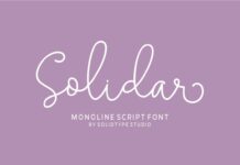 Solidar Monoline Font Poster 1