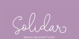 Solidar Monoline Font Poster 1