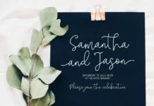 Solidar – Script Font Family Solidar - Script Font Family Poster 1
