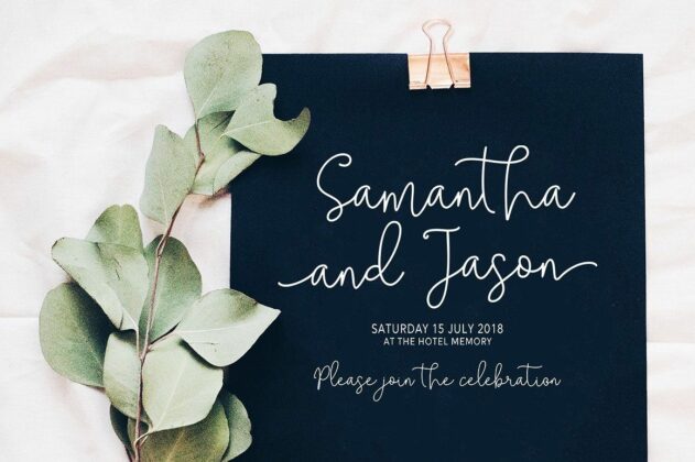 Solidar - Script Font Family Poster 1