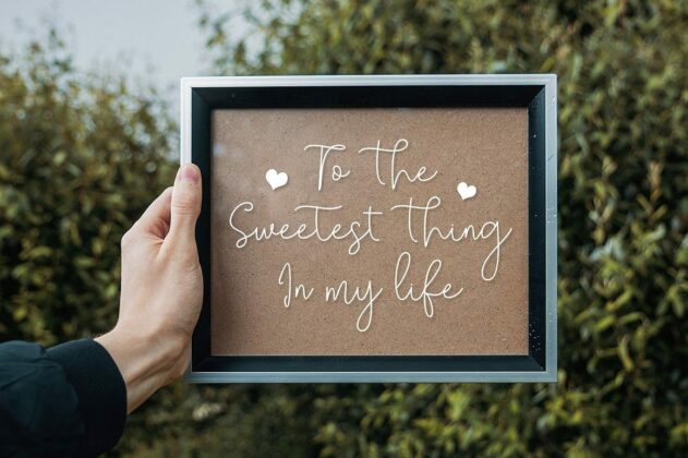 Solidar - Script Font Family Poster 2