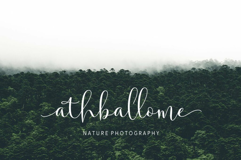 Solidar - Script Font Family Poster 4