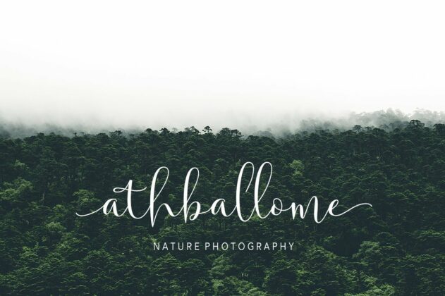 Solidar - Script Font Family Poster 4