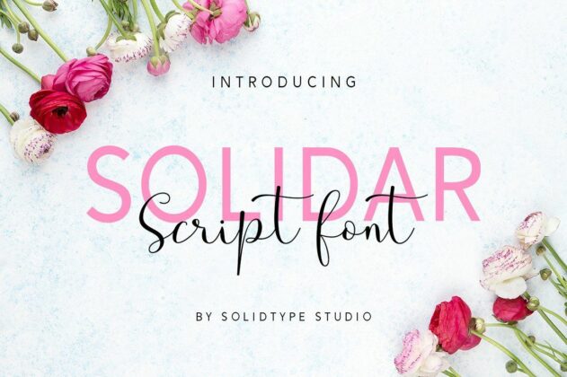 Solidar - Script Font Family Poster 7