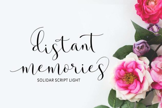 Solidar - Script Font Family Poster 8