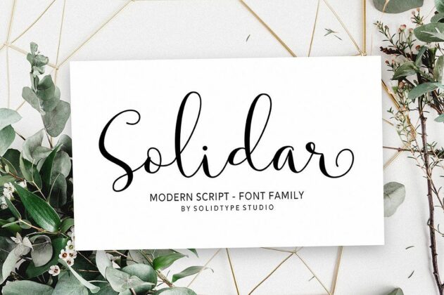 Solidar - Script Font Family Poster 10