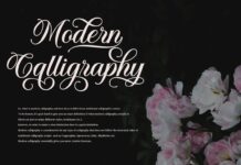 Solistaria-Elegant Calligraphy Font Poster 1