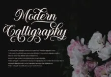 Solistaria-Elegant Calligraphy Font Solistaria-Elegant Calligraphy Font Poster 1