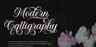 Solistaria-Elegant Calligraphy Font Poster 1