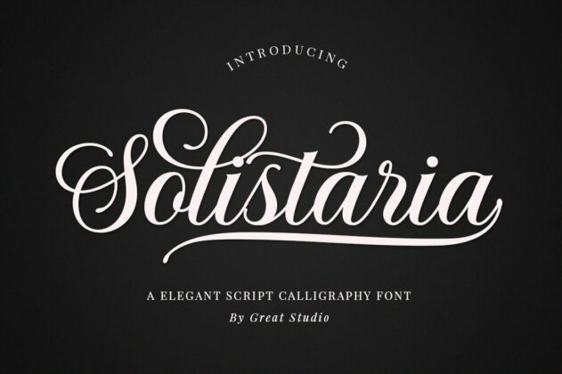 Solistaria-Elegant Calligraphy Font Poster 4