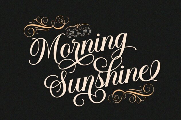 Solistaria-Elegant Calligraphy Font Poster 8