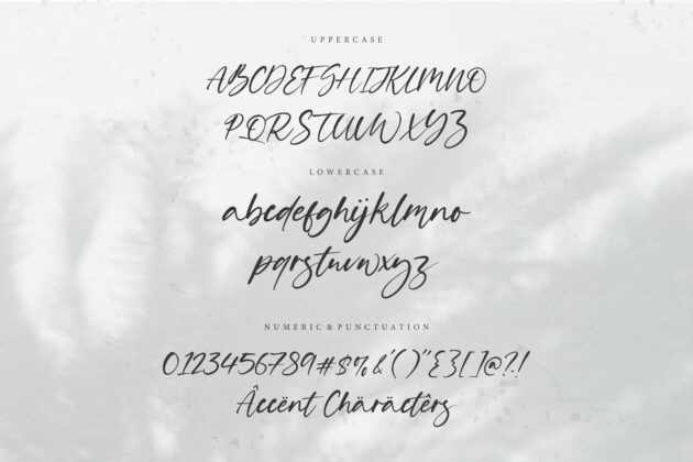 Solitude Modern Handwritten Font Poster 7