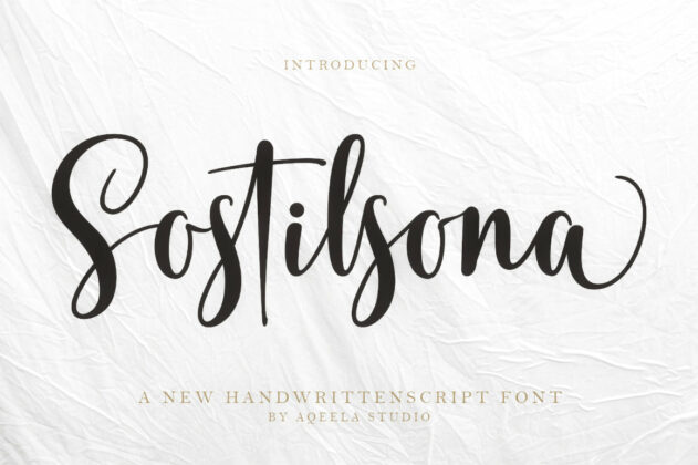 Sostilsona Poster 8
