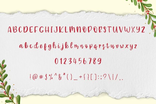 Special Christmas Font Poster 5