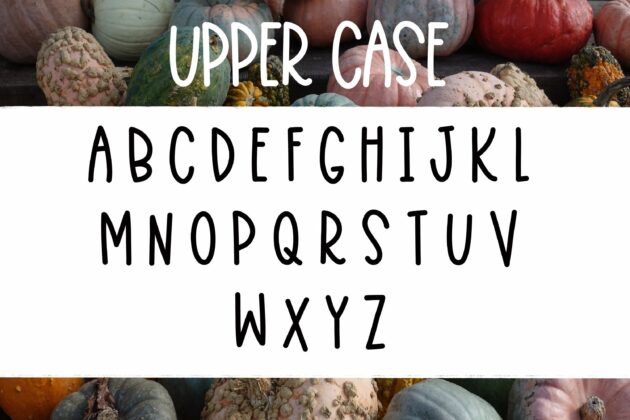 Squashy Noodles - A fun font duo Poster 2