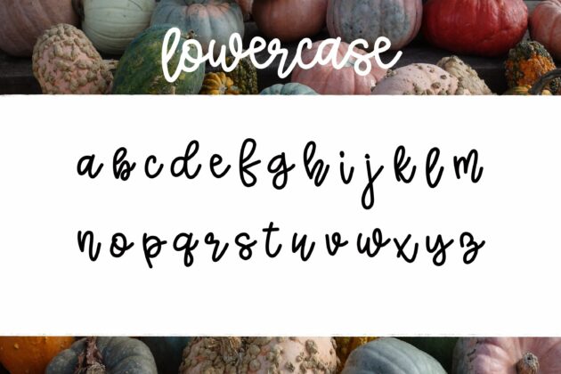 Squashy Noodles - A fun font duo Poster 3