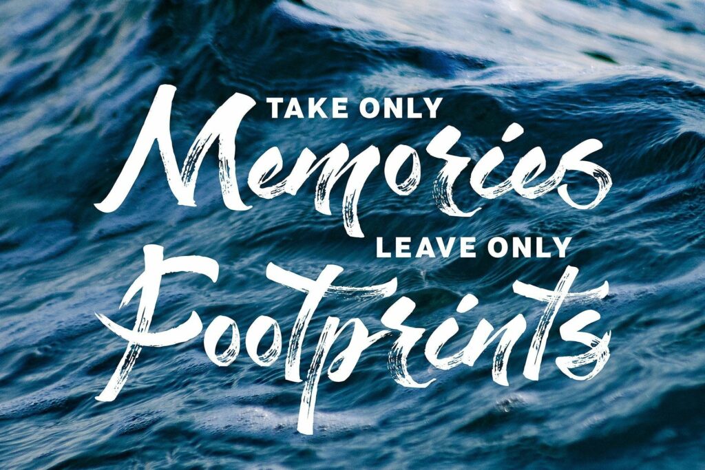 Staychill Brush Font Poster 5