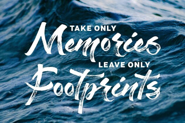 Staychill Brush Font Poster 5