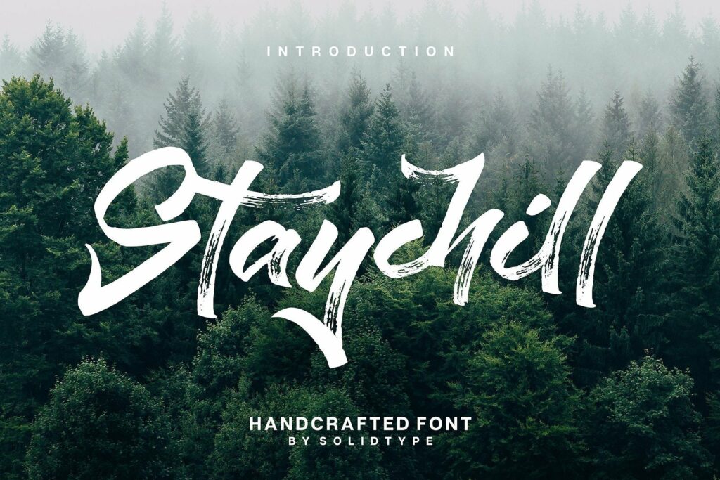 Staychill Brush Font Poster 7