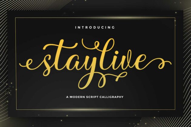 Staylive Poster 2