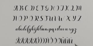 Steady Script Poster 1