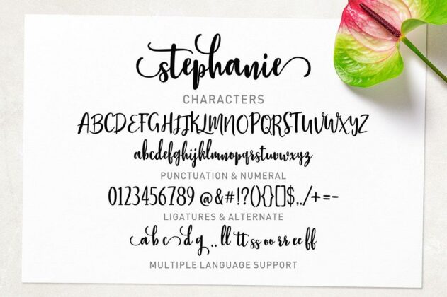 Stephanie Script Poster 6