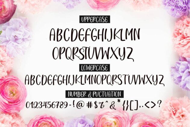 Story love Script Font Duo Poster 4