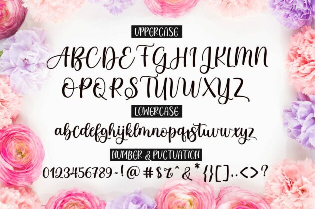 Story love Script Font Duo Poster 8