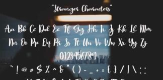 Stranger Poster 1