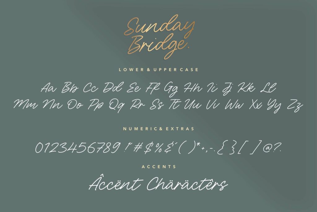 Sunday Bridge Monoline Handwritten Font Poster 1