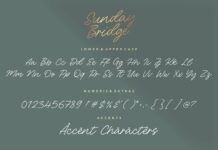 Sunday Bridge Monoline Handwritten Font Poster 1