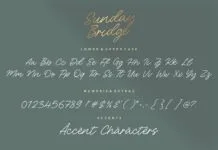 Sunday Bridge Monoline Handwritten Font Poster 1