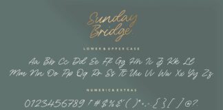 Sunday Bridge Monoline Handwritten Font Poster 1