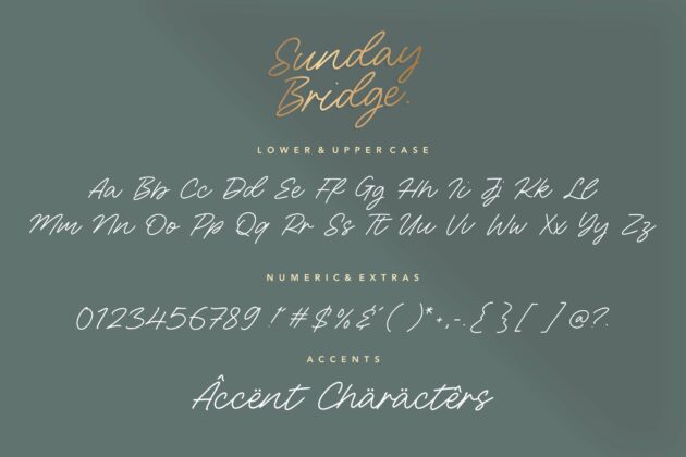 Sunday Bridge Monoline Handwritten Font Poster 1