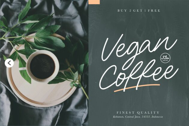 Sunday Bridge Monoline Handwritten Font Poster 4