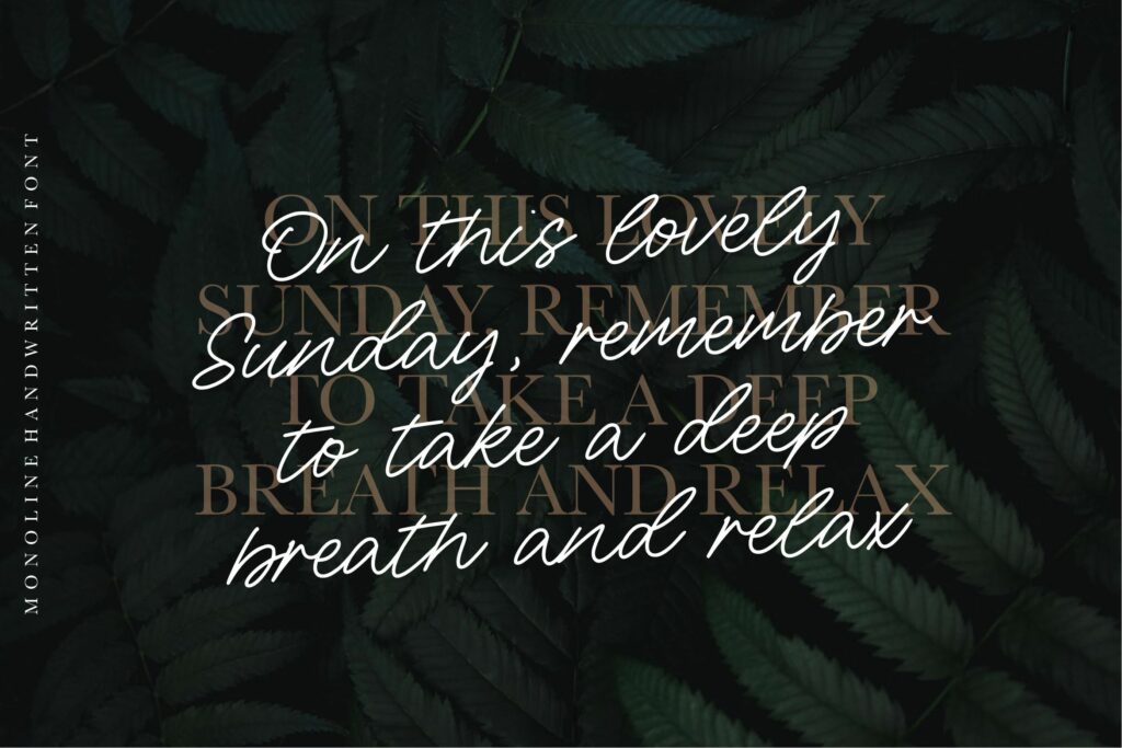 Sunday Bridge Monoline Handwritten Font Poster 6