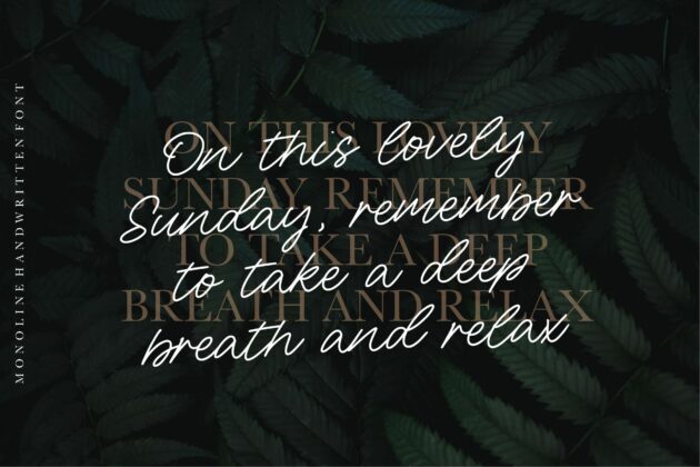 Sunday Bridge Monoline Handwritten Font Poster 6