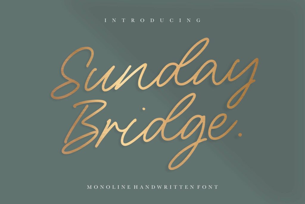Sunday Bridge Monoline Handwritten Font Poster 7