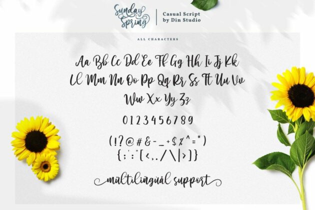 Sunday Spring Script Poster 5