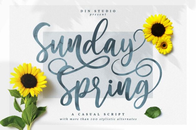 Sunday Spring Script Poster 7