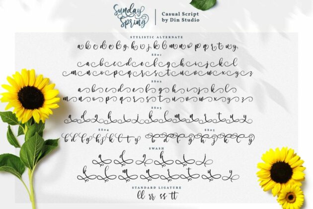 Sunday Spring Script Poster 9